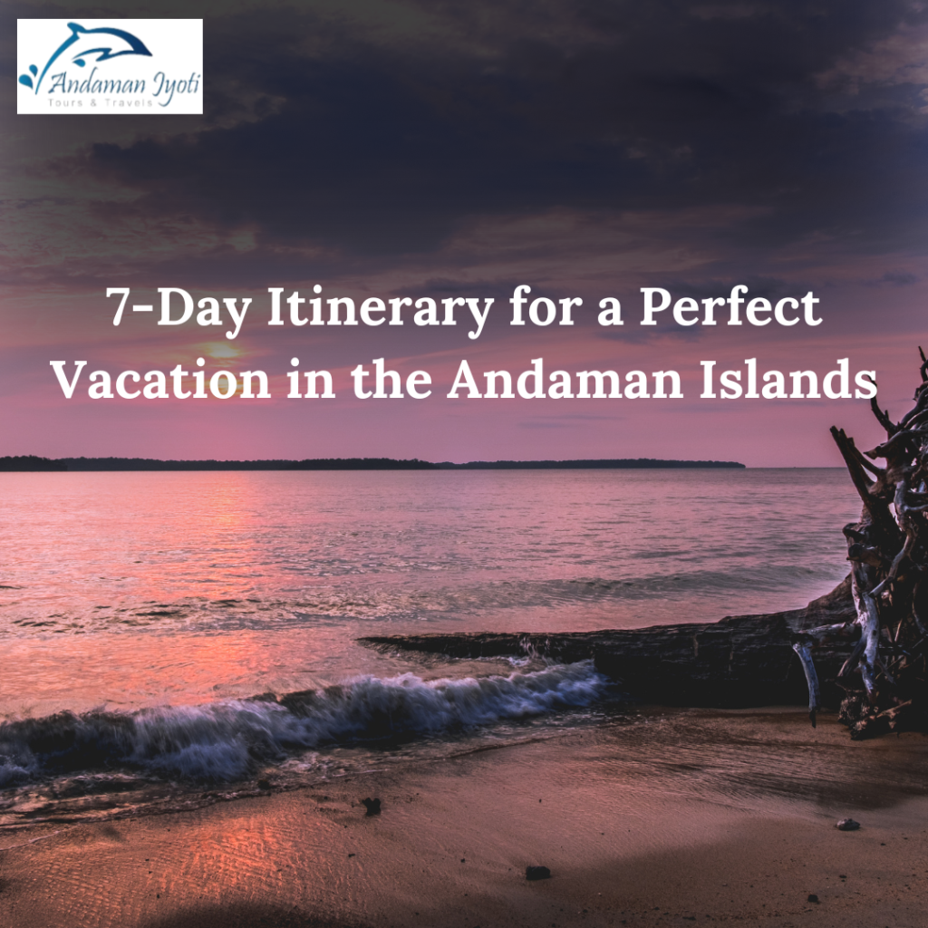 7-Day Itinerary for a Perfect Vacation in the Andaman Islands