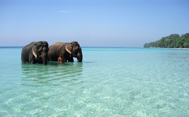 Perfect 7-Day Andaman Vacation Plan